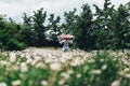 A girl runs across a field of dandelions in summer Royalty Free Stock Photo