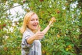 Girl rustic style gather apples harvest garden autumn day. Farmer picking ripe fruit from tree. Harvesting season Royalty Free Stock Photo