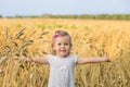 Girl in the rye field Royalty Free Stock Photo