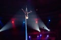 Girl`s aerial acrobatics in the Circus ring. Royalty Free Stock Photo