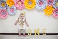 First birthday Royalty Free Stock Photo