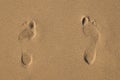 Girl's footprints on send Royalty Free Stock Photo