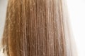 Girl`s hair vertically from back painted, close up long straight blonde female hair