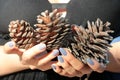 girl's hand holding cedar cone with a Blurred background