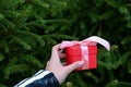 girl's hand holds beautiful red gift box with pink satin ribbon and bow on background of lush green spruce branch. Royalty Free Stock Photo