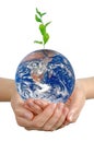 Girl`s hand with planet Earth. Elements of this image furnished by NASA Royalty Free Stock Photo