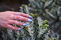 Girl`s hand touching cactus