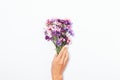 Girl`s hand with white manicure holding small bouquet Royalty Free Stock Photo