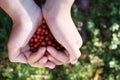 Girl`s hands in heart shape holding handful of bearberries