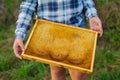 Young girl`s hands holding a frame with honeycomb