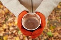 Girl`s hands in orange gloves with a cup of hot drink Royalty Free Stock Photo
