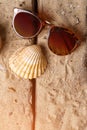 Girl's sunglasses and seashell.