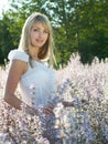 Girl at sage field Royalty Free Stock Photo