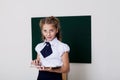 Girl school girl is standing at the Blackboard with lesson Royalty Free Stock Photo