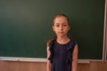 Girl schoolgirl posing against the backdrop of a school board Royalty Free Stock Photo