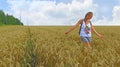 Girl with a scythe in the field with ears in summer