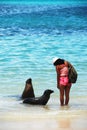 Girl with sea lions Royalty Free Stock Photo