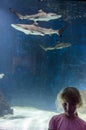 Girl and shark in aquarium