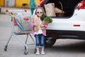 Girl with a shopping cart full of groceries near the car Royalty Free Stock Photo