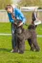 Girl shows her puppy Giant Schnauzer, Riesenschnauzer dog. Gomel