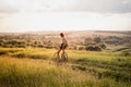 Girl silhouette with a bicycle posing on the hill in beautiful r Royalty Free Stock Photo