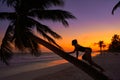 Girl silhouette palm tree Caribbean sunset Royalty Free Stock Photo