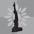 girl silhouette practising yoga in supported shoulderstand pose. Vector illustration decorative design