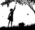 Girl silhoutte harvest the pear,fruit harvest scene, shadows black and white, bucket full of pears on the grass, nature