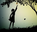 Girl silhoutte harvest the pear, fruit harvest scene, summer memories, nature product concept,