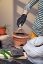 Girl sipping universal plant soil in flower pot. Gardening and home potted flowers care concept.