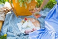 A girl sits on a colorful picnic on the nature-wine, strawberry, cheese, cake