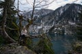 Girl sits on a tree and meditates near lake Ritsa in Abkhazia Royalty Free Stock Photo