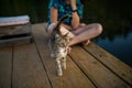 A girl sits on a wooden pier and watches a cat walking on the boards Royalty Free Stock Photo