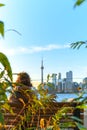 Woman watching CN Tower toronto