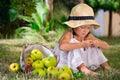 Girl sitting on the grass with a basket of apples Royalty Free Stock Photo