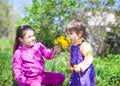 Girl sitting on grass and giving to smell dandelion flowers to small boy Royalty Free Stock Photo