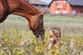 Girl sitting on the ground and chestnut horse standing near