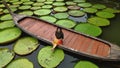 Girl sitting on a long tail boat surrounded by Queen Victoria water lilies in Phuket Thailand Royalty Free Stock Photo