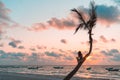 Girl sitting on a palm tree at sunrise on the sandy beach of the Caribbean i Royalty Free Stock Photo