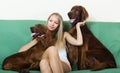 Girl sitting with two Irish setters Royalty Free Stock Photo