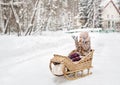 Girl sitting in a vintage wooden sled and happily covering his hands from snow