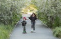 A girl on a skateboard and a boy on a scooter Royalty Free Stock Photo