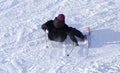 Girl skiing in the snow in winter