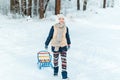 A girl with sledge. Beautiful teenage girl having fun outside in a wood with snow in winter. active life consept