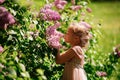 Girl sniffs lilac bushes. blooming gardens Royalty Free Stock Photo