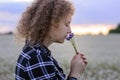 The girl sniffs a small bouquet of cornflowers against the background of the evening sky and a flower field Royalty Free Stock Photo