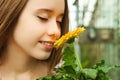 Girl sniffs yellow gerbera flower Royalty Free Stock Photo