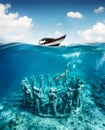 The girl is snorkeling near the famous place on Gili Meno Island, Indonesia. Underwater tourism in the ocean. Vacation and adventu
