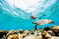 Girl snorkeling with sea turtle Royalty Free Stock Photo