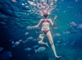 Girl Snorkeling and Surrounded with Chopa Fish Royalty Free Stock Photo